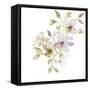 Blossoms and Roots VI-Marabeth Quin-Framed Stretched Canvas