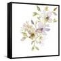 Blossoms and Roots VI-Marabeth Quin-Framed Stretched Canvas