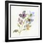 Blossoms and Roots VII-Marabeth Quin-Framed Art Print