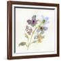 Blossoms and Roots VII-Marabeth Quin-Framed Art Print