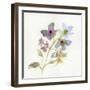 Blossoms and Roots VII-Marabeth Quin-Framed Art Print