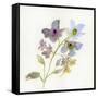 Blossoms and Roots VII-Marabeth Quin-Framed Stretched Canvas