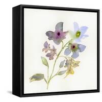 Blossoms and Roots VII-Marabeth Quin-Framed Stretched Canvas