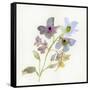 Blossoms and Roots VII-Marabeth Quin-Framed Stretched Canvas