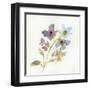 Blossoms and Roots VII-Marabeth Quin-Framed Art Print