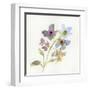 Blossoms and Roots VII-Marabeth Quin-Framed Art Print