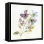Blossoms and Roots VII-Marabeth Quin-Framed Stretched Canvas