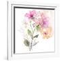 Blossoms and Roots VIII-Marabeth Quin-Framed Art Print