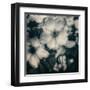 Blossoms at Dusk-Linda Hoey-Framed Art Print