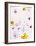 Blossoms, Bright, Different, Still Life-Axel Killian-Framed Photographic Print