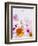 Blossoms, Bright, Different, Still Life-Axel Killian-Framed Photographic Print