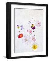 Blossoms, Bright, Different, Still Life-Axel Killian-Framed Photographic Print