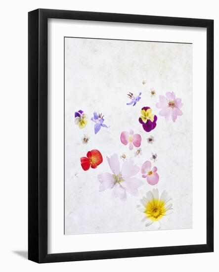 Blossoms, Bright, Different, Still Life-Axel Killian-Framed Photographic Print