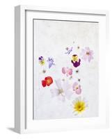 Blossoms, Bright, Different, Still Life-Axel Killian-Framed Photographic Print