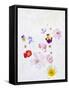 Blossoms, Bright, Different, Still Life-Axel Killian-Framed Stretched Canvas