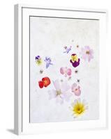 Blossoms, Bright, Different, Still Life-Axel Killian-Framed Photographic Print