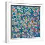 Blossoms Galore-Helen Joynson-Framed Photographic Print