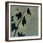 Blossoms I-Robert Charon-Framed Art Print