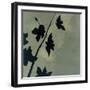 Blossoms I-Robert Charon-Framed Art Print