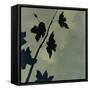 Blossoms I-Robert Charon-Framed Stretched Canvas