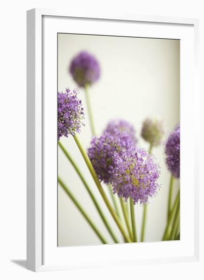 Blossoms II-Karyn Millet-Framed Photographic Print