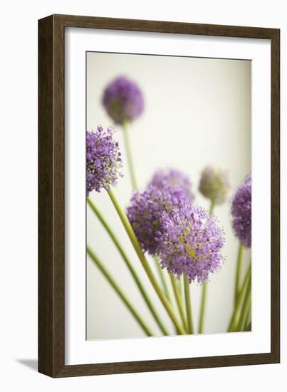 Blossoms II-Karyn Millet-Framed Photographic Print