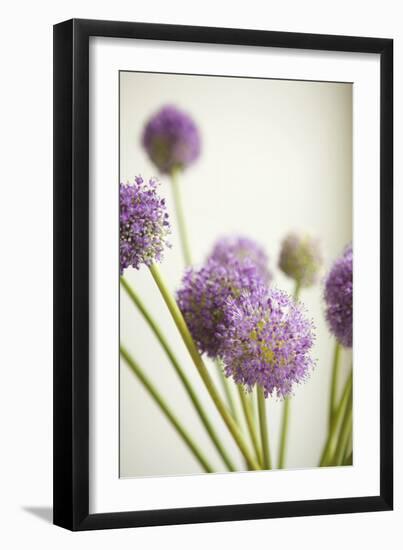 Blossoms II-Karyn Millet-Framed Photographic Print