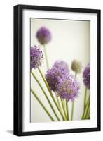 Blossoms II-Karyn Millet-Framed Photographic Print