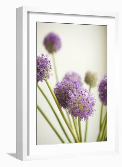 Blossoms II-Karyn Millet-Framed Photographic Print