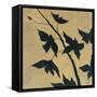 Blossoms II-Robert Charon-Framed Stretched Canvas