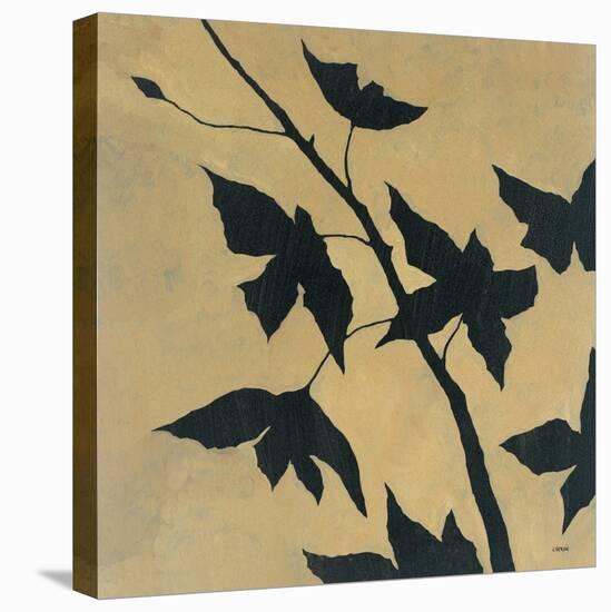 Blossoms II-Robert Charon-Stretched Canvas