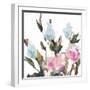 Blossoms II-Jane Slivka-Framed Art Print