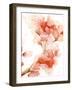 Blossoms II-Katrina Pete-Framed Art Print