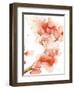 Blossoms II-Katrina Pete-Framed Art Print