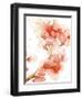 Blossoms II-Katrina Pete-Framed Art Print