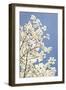 Blossoms III-Karyn Millet-Framed Photographic Print