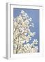 Blossoms III-Karyn Millet-Framed Photographic Print