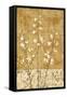 Blossoms in Gold II-Chris Donovan-Framed Stretched Canvas