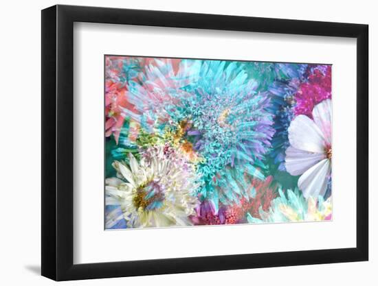 Blossoms of Dahlia and Daisy Star, Poetic Photographic Layer Work-Alaya Gadeh-Framed Photographic Print