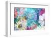 Blossoms of Dahlia and Daisy Star, Poetic Photographic Layer Work-Alaya Gadeh-Framed Photographic Print