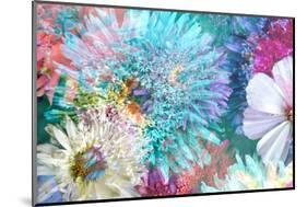 Blossoms of Dahlia and Daisy Star, Poetic Photographic Layer Work-Alaya Gadeh-Mounted Photographic Print