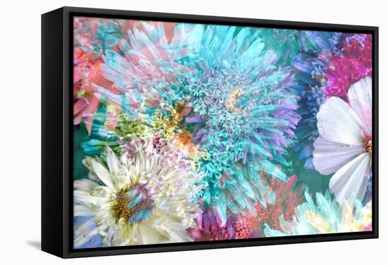 Blossoms of Dahlia and Daisy Star, Poetic Photographic Layer Work-Alaya Gadeh-Framed Stretched Canvas