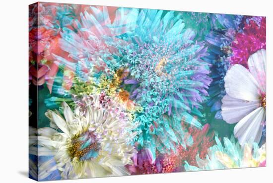 Blossoms of Dahlia and Daisy Star, Poetic Photographic Layer Work-Alaya Gadeh-Stretched Canvas