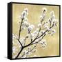 Blossoms on Gold II-Kate Bennett-Framed Stretched Canvas