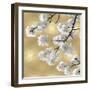 Blossoms on Gold IV-Kate Bennett-Framed Art Print