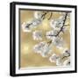 Blossoms on Gold IV-Kate Bennett-Framed Art Print