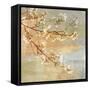 Blossoms OnThe Pond I-John Seba-Framed Stretched Canvas