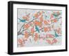 Blossoms with Birds-Diane Stimson-Framed Art Print