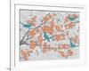 Blossoms with Birds-Diane Stimson-Framed Art Print