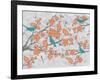 Blossoms with Birds-Diane Stimson-Framed Art Print